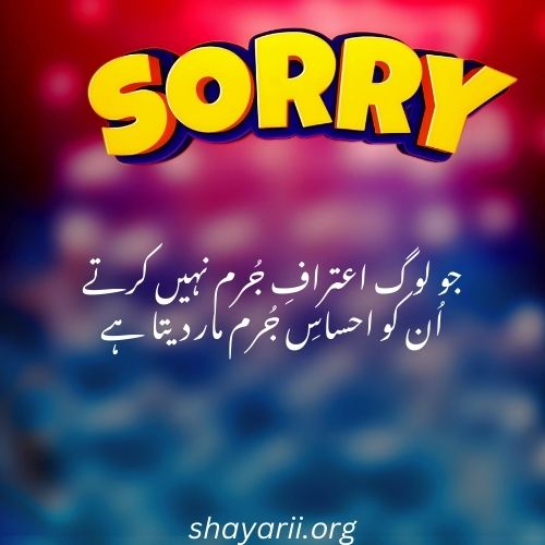 sorry shayari