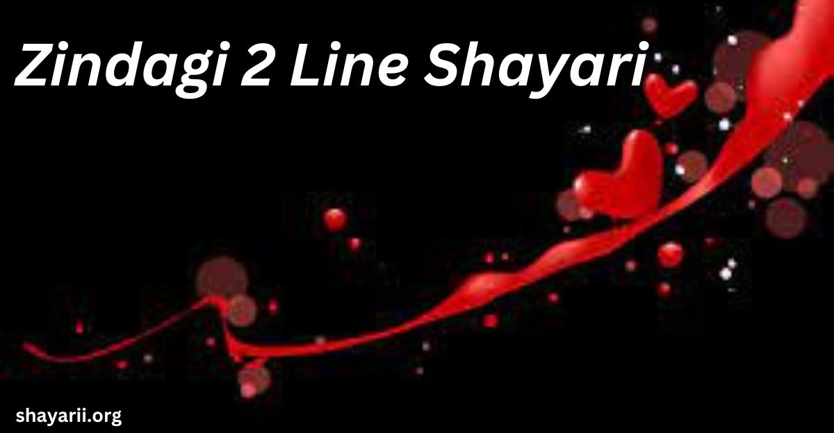 zindagi 2 line shayari