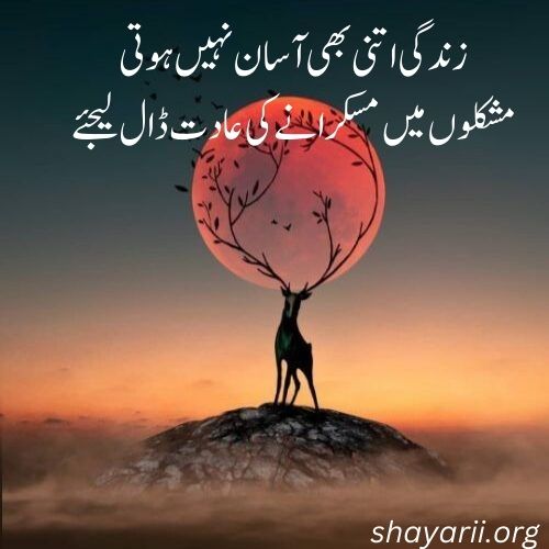 motivational shayari in urdu