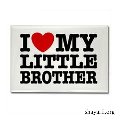 brother shayari
