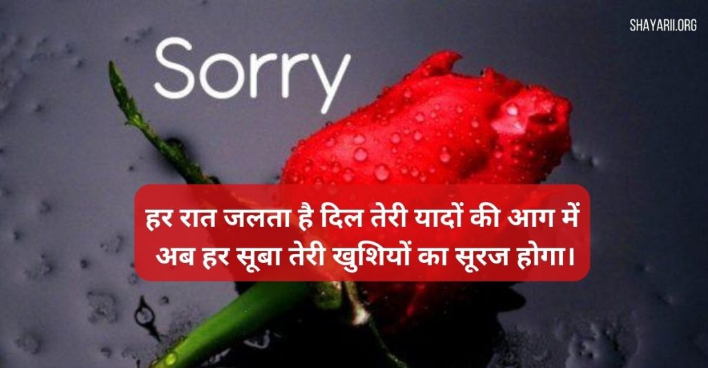 sorry shayari for girlfriend in hindi