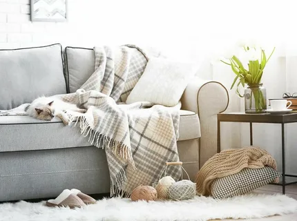 blankets for sofas